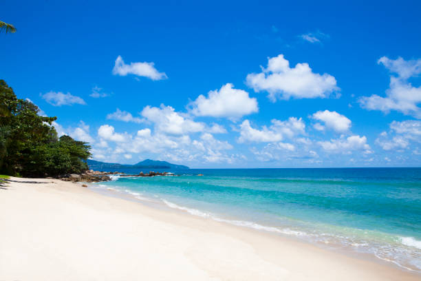 istock Tropical beach scenery at Andaman sea in Phuket, 833938672
