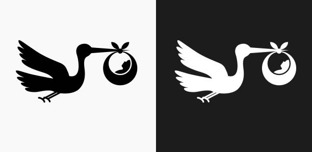 Stork and Newborn Icon on Black and White Vector Backgrounds Stork and Newborn Icon on Black and White Vector Backgrounds. This vector illustration includes two variations of the icon one in black on a light background on the left and another version in white on a dark background positioned on the right. The vector icon is simple yet elegant and can be used in a variety of ways including website or mobile application icon. This royalty free image is 100% vector based and all design elements can be scaled to any size. stork stock illustrations