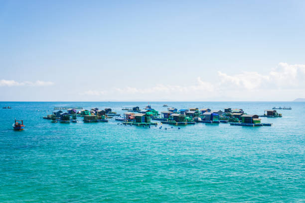 istock Floating Fisherman Village 834005780