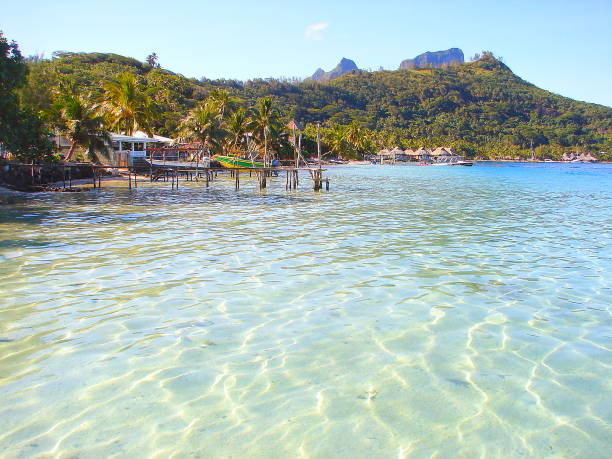 polinezyjski tropikalny letni raj: dramatyczna piaszczysta turkusowa tropikalna plaża i zielone palmy nad przezroczystą wodą, marzycielska wyspa bora bora , motus tahiti – idylliczna polinezja francuska - polynesia bungalow beach sunrise zdjęcia i obrazy z banku zdjęć