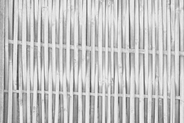 istock Grey black color texture pattern abstract background can be use as wall paper screen saver brochure cover page or for presentations background or articles background also have copy space for text. 834052458