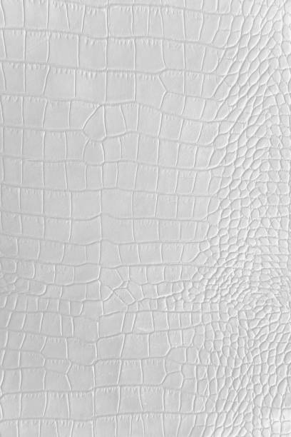istock Grey black color texture pattern abstract background can be use as wall paper screen saver brochure cover page or for presentations background or articles background also have copy space for text. 834054138