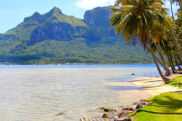 istock Polynesian Tropical Summer paradise: dramatic Sandy turquoise tropical beach and Green Palm Trees over water, dreamlike Bora Bora island , Tahiti motus – Idyllic French Polynesia 834054336