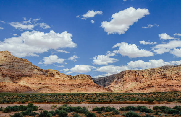 Arid Landscape in Arizona