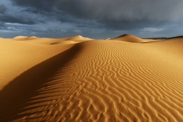 istock Sahara desert sand dunes with dark, cloudy, rainy sky. 834119474