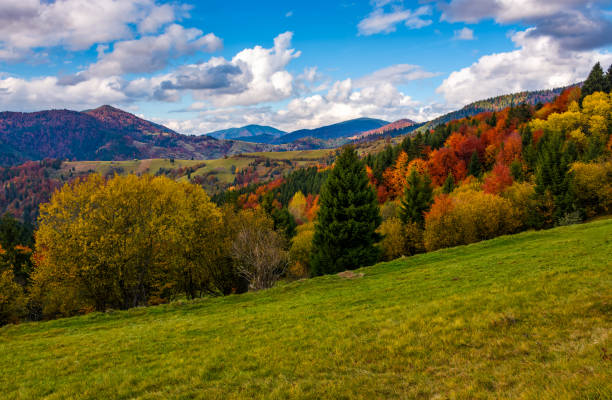 istock mountains with colorful foliage forest 834164506