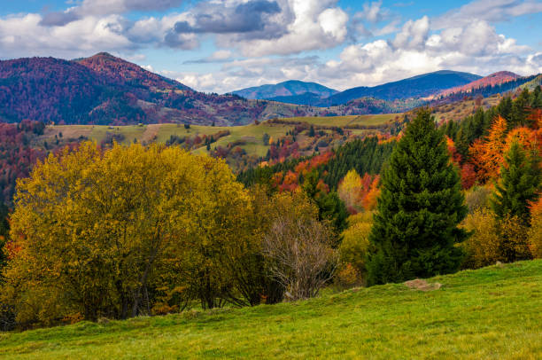 istock mountains with forest autumnal countryside 834169040
