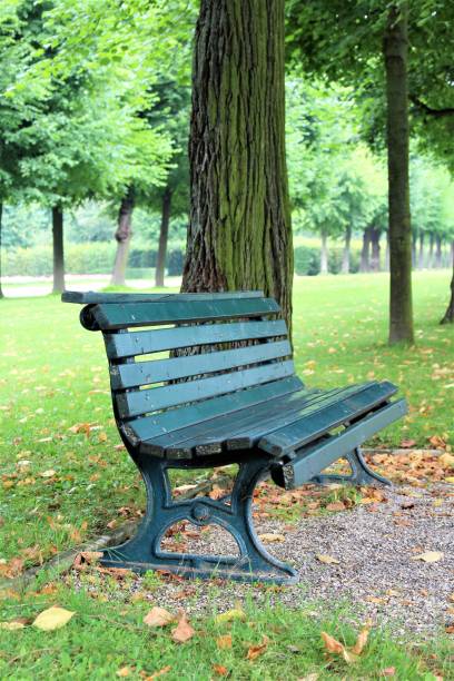 istock An image of a park bench 834185500