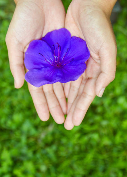 istock a little gentleness goes a long way 834195420