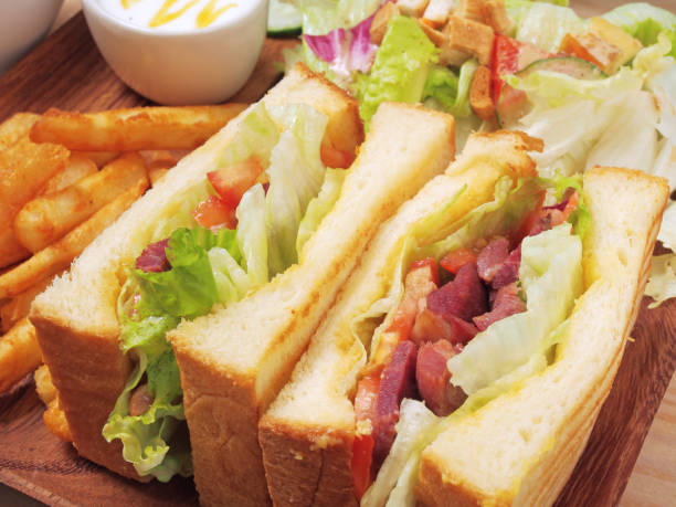 Duck meat sandwich  combo