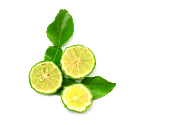 young bergamot fruits and leaves on white background