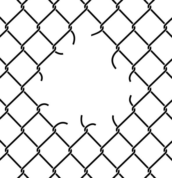 Mesh netting Torn. Rabitz  with hole. Mesh fence Ripped background vector art illustration
