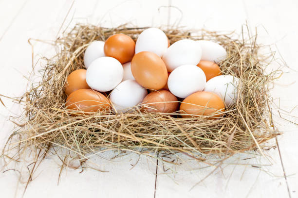 istock Fresh country eggs with straw on rustic wooden white table 834251074