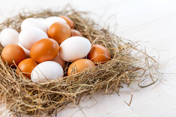 istock Fresh country eggs with straw on rustic wooden white table 834256616