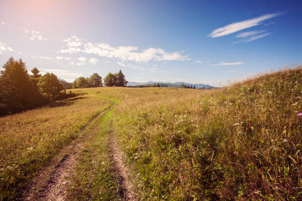 istock Beautiful Slovak landscape 834263402