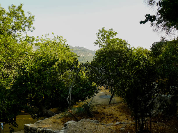 istock Hiking in the nature around Jerusalem in Israel 834263490
