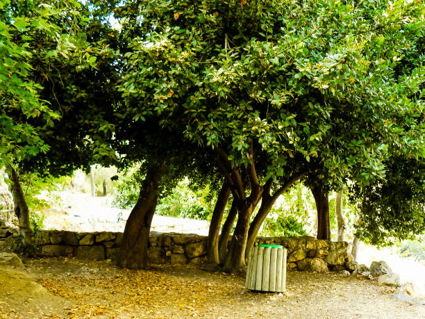istock Hiking in the nature around Jerusalem in Israel 834263628