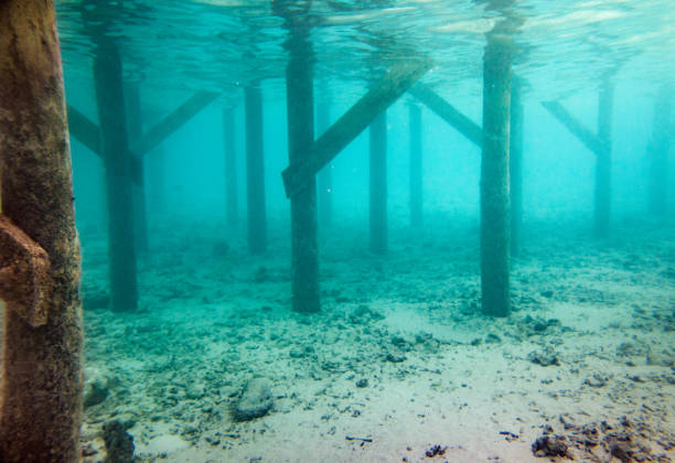 Underwater Shoot of Wooden Pier