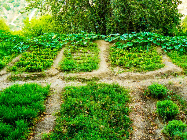 istock Hiking in the nature around Jerusalem in Israel 834271468