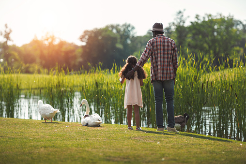 rear view of african american granddaughter and her grandfather standing on pond with birds