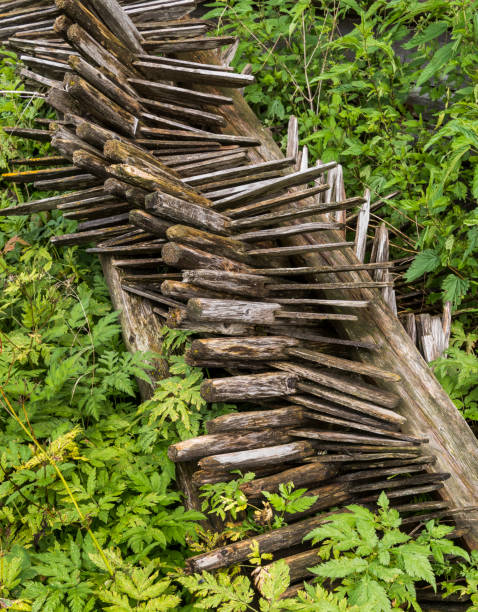 istock Pile of Hay Stakes in Grass 834364162