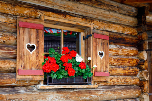 fenêtre en bois bavaroise ou autrichienne typique, avec des fleurs de géranium rouge sur maison en autriche ou en allemagne - tirol north tirol hut austria photos et images de collection