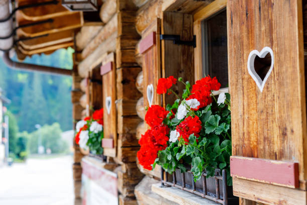 typowe bawarskie lub austriackie drewniane okno z czerwonymi kwiatami geranium na domu w austrii lub niemczech - tirol zdjęcia i obrazy z banku zdjęć