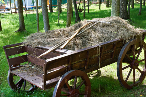 istock Village wagon with hay and rake 834413582