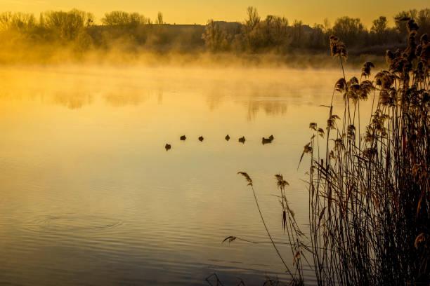 istock Sunrise at the lake in Vienna 834414234