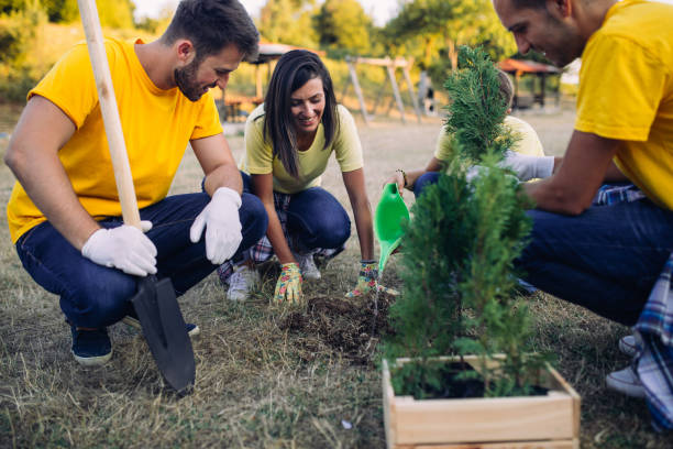 istock Volunteers in the park 834420152