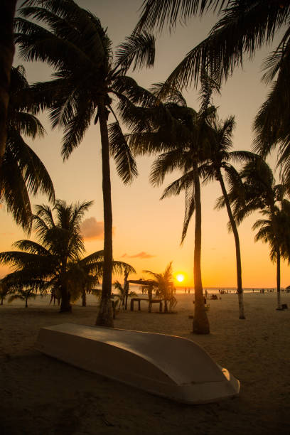 istock Sunset on a beautiful beach on the Caribbean coast. Boat on beach. 834420858