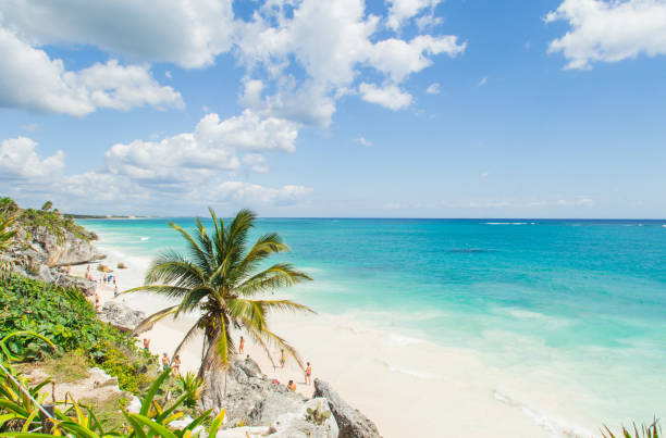 o parque em tulum. bela praia na costa do caribe. - mayan riviera - fotografias e filmes do acervo