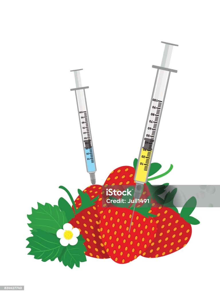 Syringes with nitrates stuck in strawberries. Syringes with nitrates stuck in strawberries. Flat design. Vector illustration Fruit stock vector