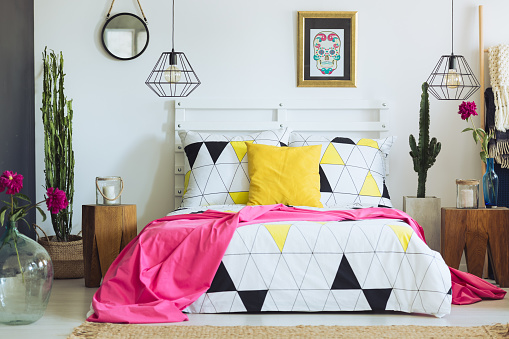 Cactus y ropa de cama geométrica única photo