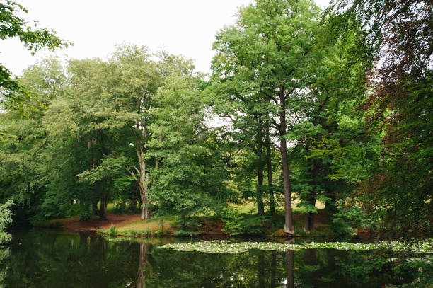 istock Lake in deep forest. Travel story. 834446300