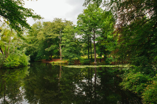 istock Lake in deep forest. Travel story. 834446472