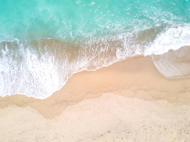 istock Aerial view of sandy beach and ocean with waves 834447170
