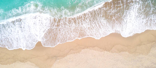 istock Aerial view of sandy beach and ocean with waves 834447238