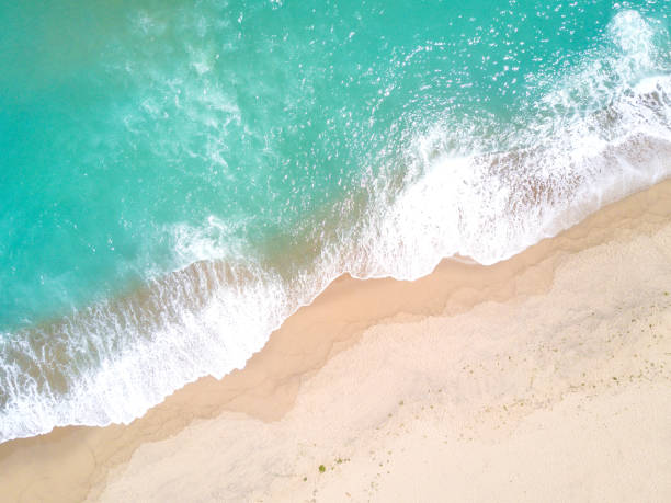istock Aerial view of sandy beach and ocean with waves 834447356