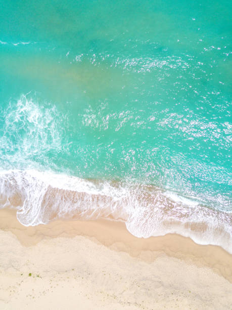 istock Aerial view of sandy beach and ocean with waves 834447538