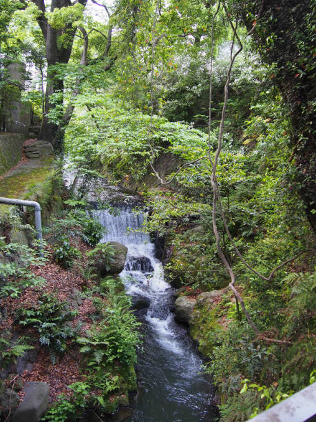istock Sound of Ogawa 834458104