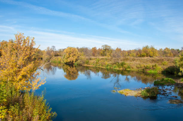 istock yellow leaves autumn tree river 834470994