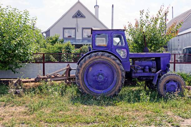 Old lilac rural tractor in the street near the house in the green grass
