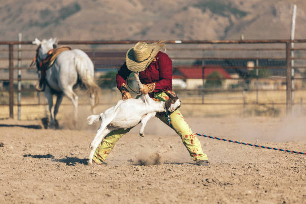 istock cowgirl competing in rodeo 834503172