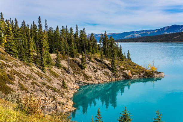 istock Abraham Lake is the most beautiful lake 834505620