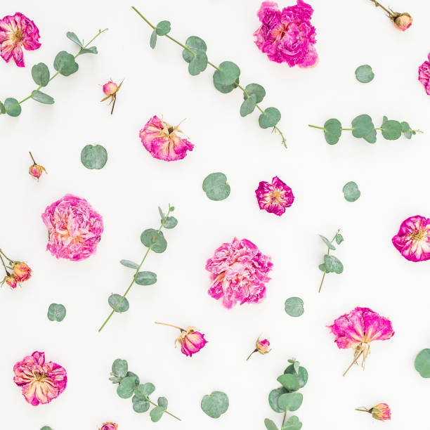 istock Floral pattern of pink roses and eucalyptus branches isolated on white background. Flat lay, top view 834519058