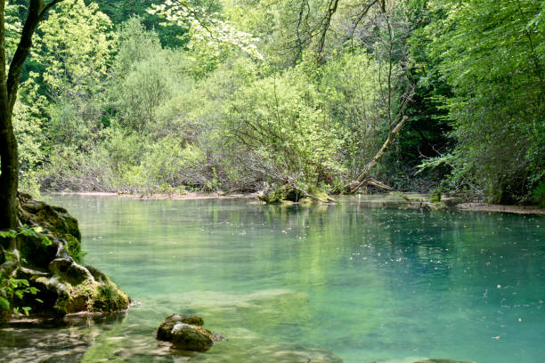 istock Turquoise waters of the Urederra 834519164