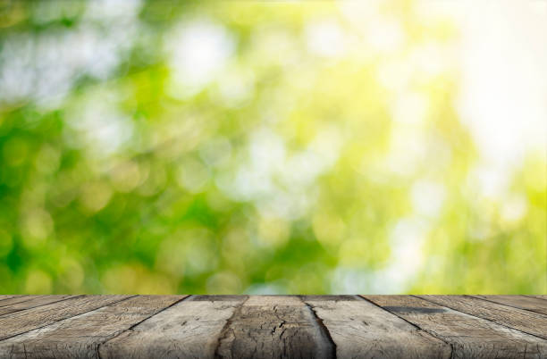istock wood table and green leaf bokeh blurred 834527526