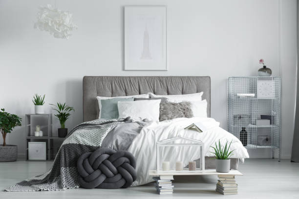 istock Fully furnished room with plants 834529006