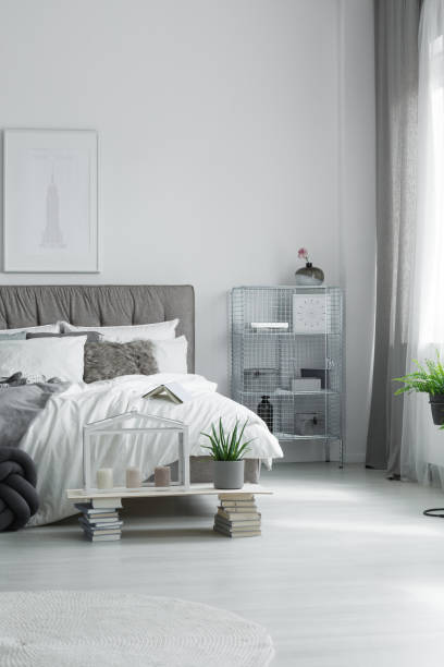 istock Potted aloe in bedroom 834529452